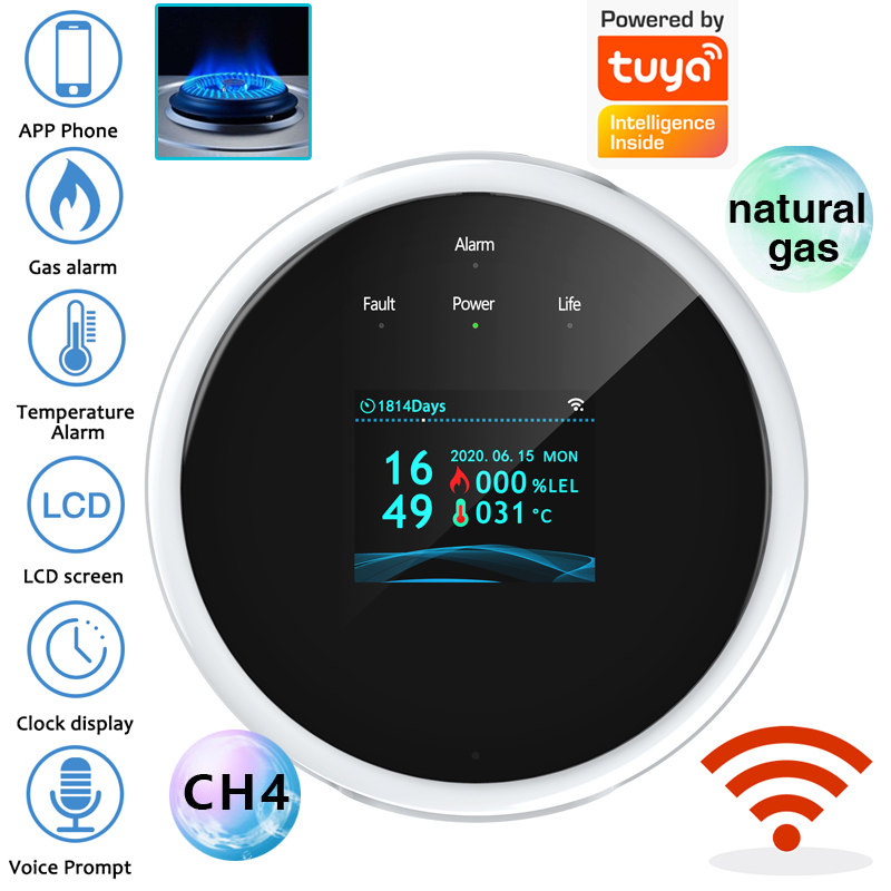 Smart Home Web - Sensor Alarm Gas WiFi 2.4G Detektor