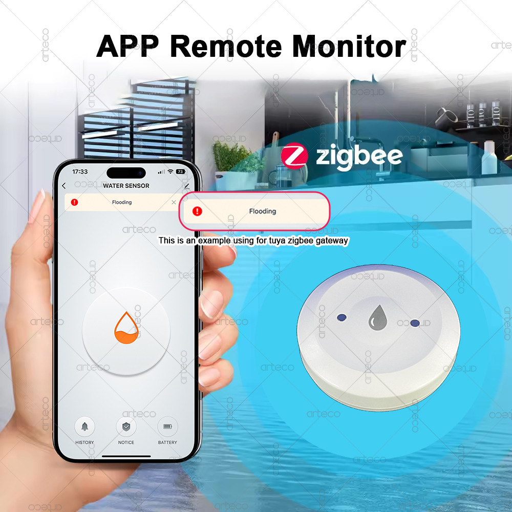 Sensor Air Zigbee Cerdas Detek - Smart Home Gateway ulasan dan harga