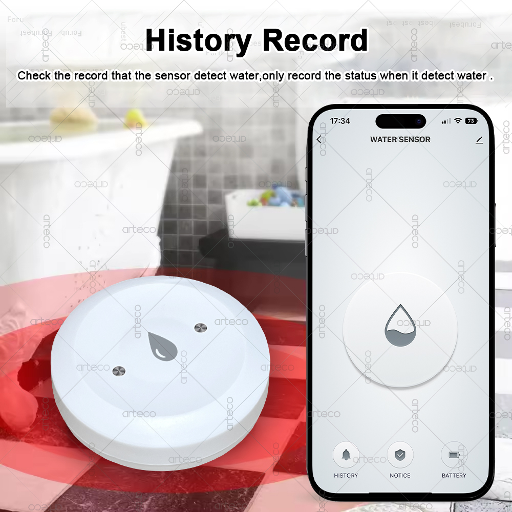 Sensor Air Zigbee Cerdas Detek - Smart Home Gateway ulasan dan harga